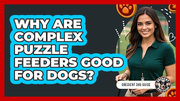 Why Are Complex Puzzle Feeders Good For Dogs? - Obedient Dog Guide
