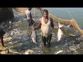Most satisfying cast net fishing  kadal tv