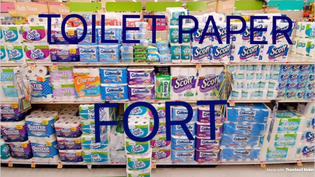 TOILET PAPER FORT CHALLENGE!!! YouTube