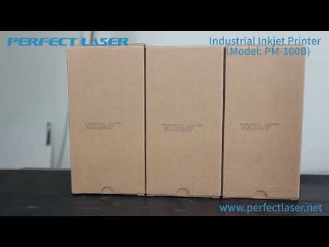 Perfect Laser-Ink System Printing Date Coding Machine Industrial Continuous Inkjet Printer (PM-100B)