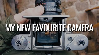 First rolls with the Pentacon Six TL - Analogue Photography | Kodak Gold & Ilford XP2