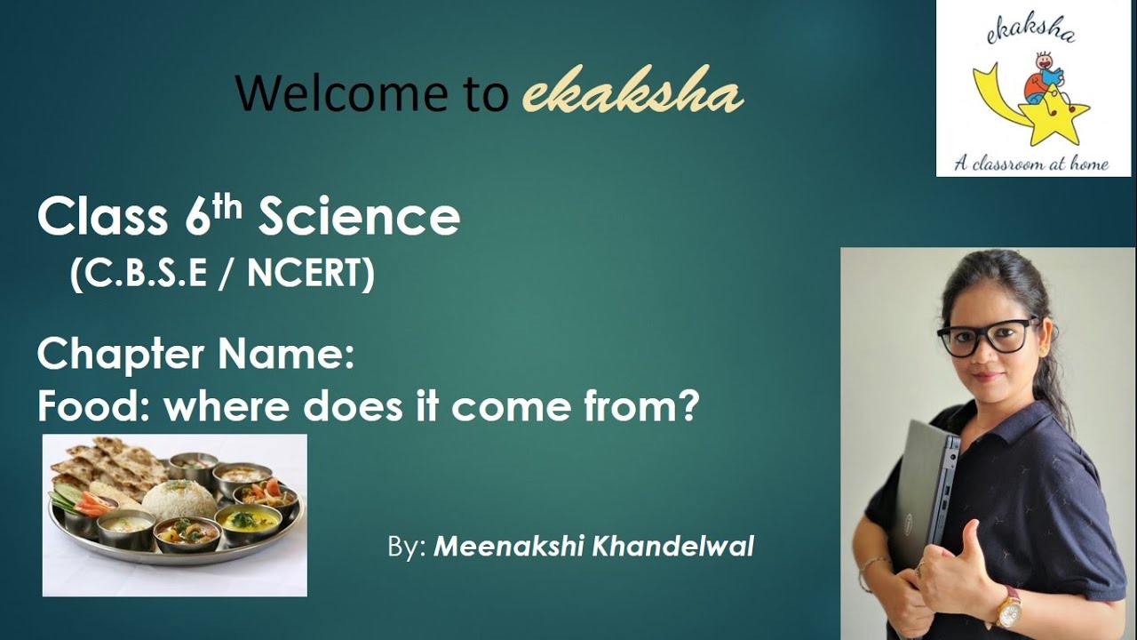 class 6 chapter 1 science YouTube