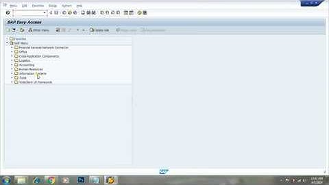 How To Install & Access SAP GUI Frontend