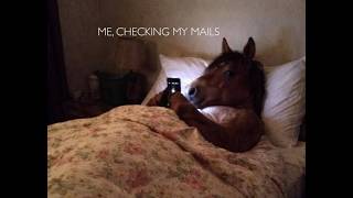 The Good, The Bad and The Ugly - RIP my inbox