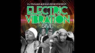 Electric Vibration 5