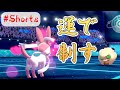 メロメロで精神攻撃されるポケモンとトレーナー【ポケモン剣盾】 #Shorts