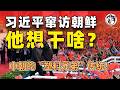 習近平 6/8 訪朝深度解碼！「65 週年大慶典」實則是被金正恩套利的危機管理——朝鮮已從中共附庸升級為中俄爭取的戰略資產、20 名上將被清洗、5/26 放彈道導彈打臉，習幽帝這趟撒幣血流不止。