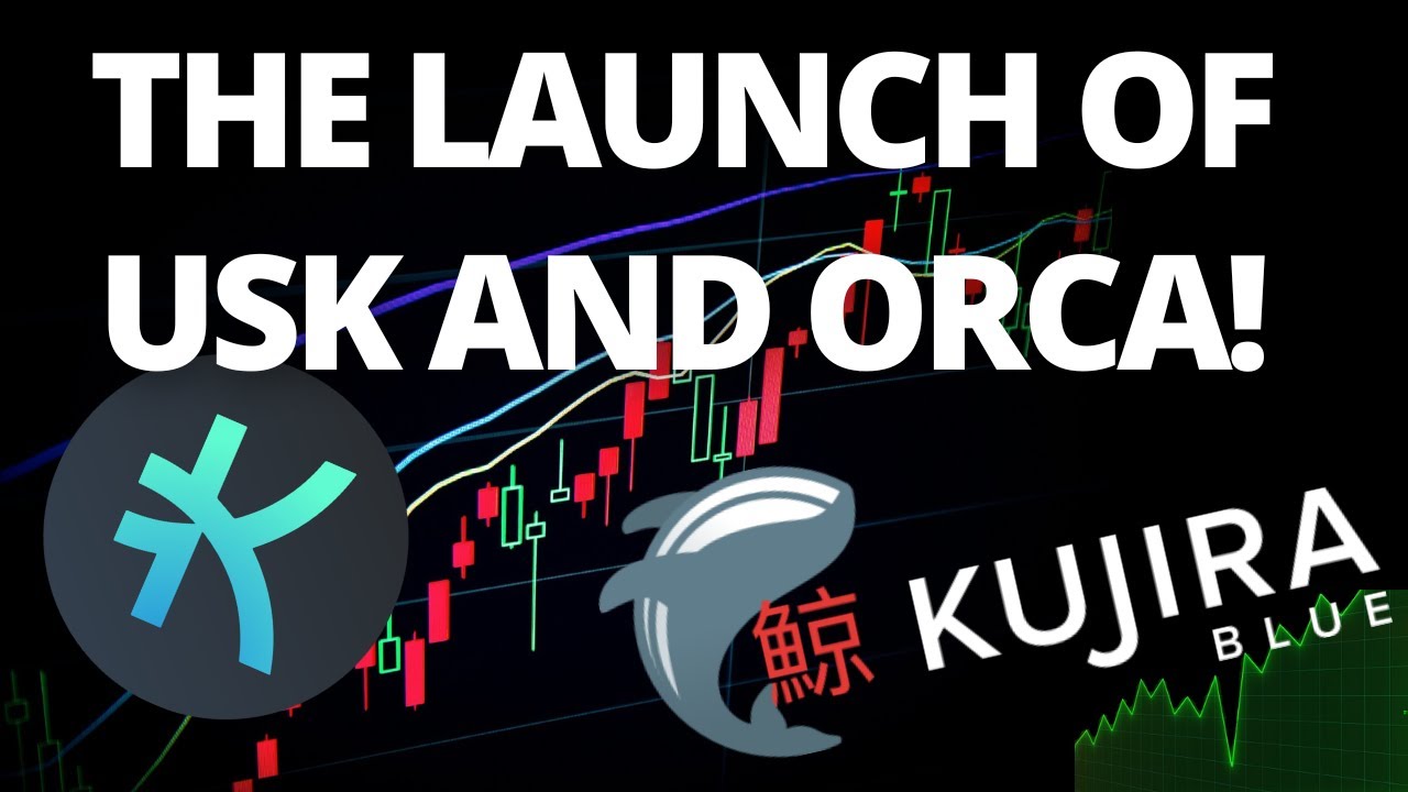 Kujira The Launch Of USK And Orca!