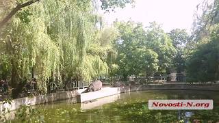 Видео Новости-N: В Николаевском зоопарке бегемоты приняли водные процедуры
