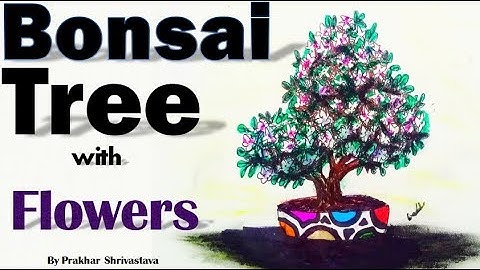 How to draw a Bonsai Tree with flowers | Bonsai Tree Drawing | Step By Step | By Prakhar Shrivastava