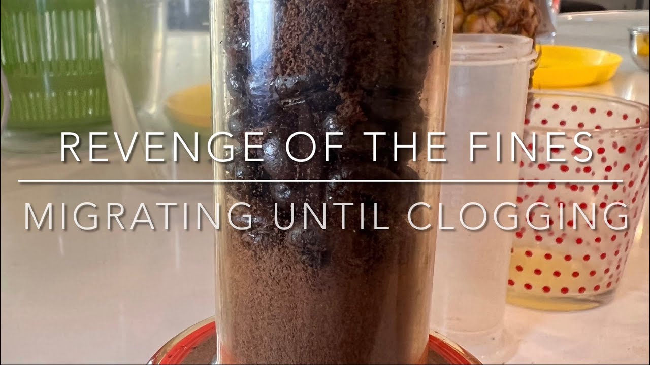 Can Vacuum Jars Remove Gas from Coffee Beans Faster?, by Robert McKeon  Aloe