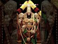 🌺 ஸ்ரீ வெங்கடேசாய நமஃ 🌺 #tirumala #tirupatibalaji #govinda #balaji #venkateswara #shorts #ytshorts