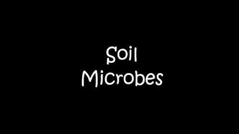 Soil Microbes