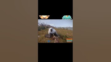 Raw Footage Of A Polar Bear Attack In Rust #shorts #rust