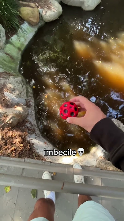 Bounce it on water?! Easy enough 😏 #toy #ball #moonball #satisfying #viral #capcut #shorts