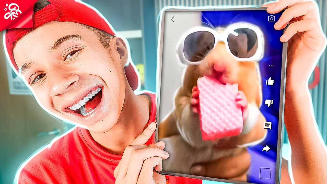 AS HAMSTERS MAIS ENGRAÇADAS DA INTERNET *impossível não rir