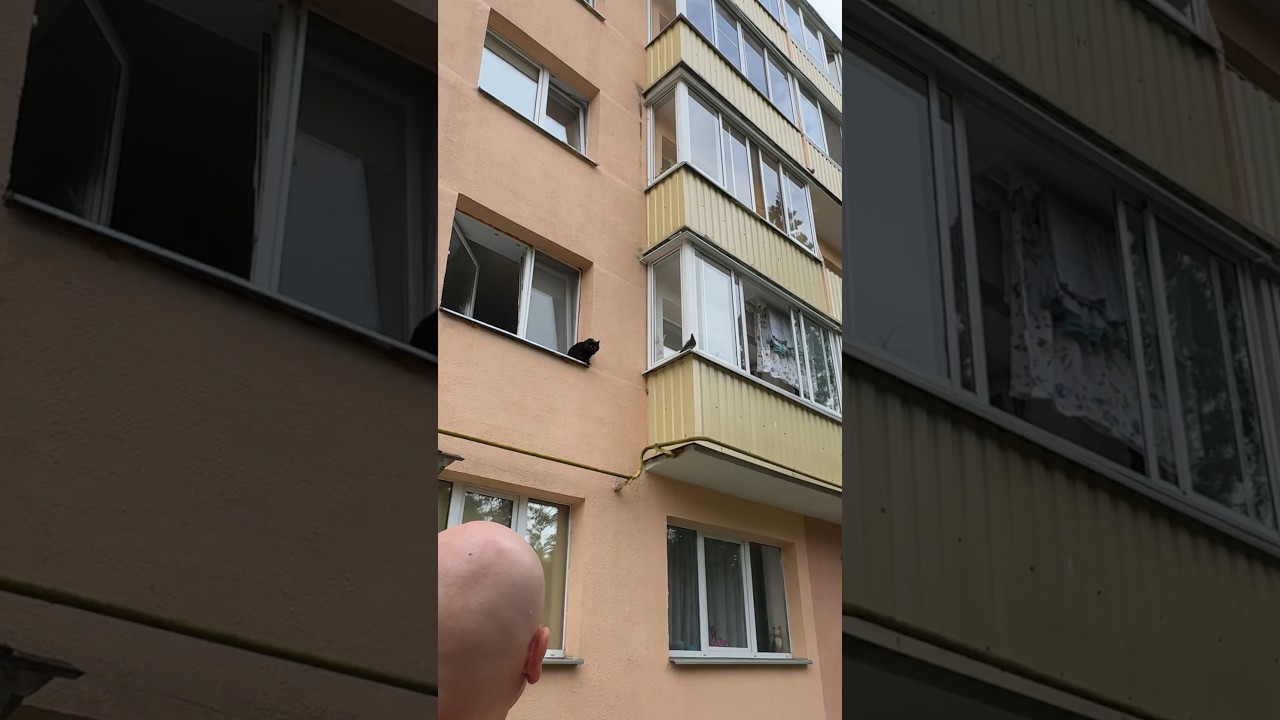 Напряженная ситуация | Музыка из трейлера к триллеру