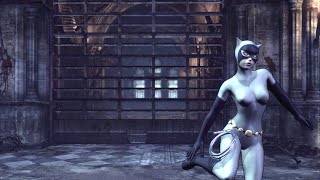 BATMAN: ARKHAM CITY - Survival of the Fittest | PERFECT COMBAT (Catwoman: Animated Series)