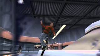 Tony Hawk Pro Skater 3 "All Goals and Golds" Speed Run in 10:04