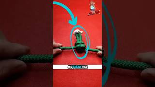 12 Essential Knots You Should Know!