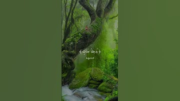 ياسر الدوسري. قرآن كريم. تلك حدود الله