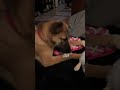 Cece video