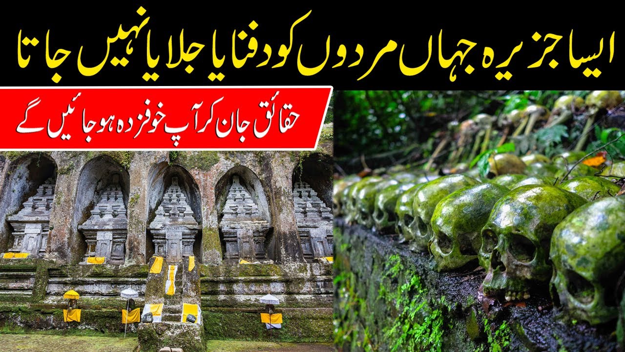 Shocking Facts About Trunyan Bali | History of Indonesia | Amazing World ABN | Urdu, Hindi
