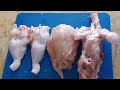 How To Get Fake Pigeon Thighs From A Chicken In The Best Way We Cut A Chicken Into Fake Pigeon T 
