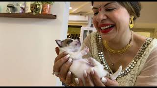 Chhota Babys First Diwali | Ss Vlogs :)