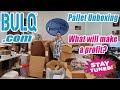 Bulq.com Pallet Unboxing Will I make a profit? Stay tuned!  - Some Strange Stuff! Online Re-selling