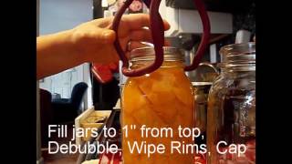 BANDANA GRAMMA IS PRESSURE CANNING PUMPKINS!