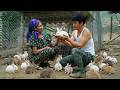 The CEO and the elderly lady happily welcome more adorable rabbits to their peaceful green farm
