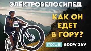 видео: КАК ЭЛЕКТРОВЕЛОСИПЕД ТЯНЕТ в ГОРУ? 🚵♂️ И МАКСИМАЛЬНАЯ СКОРОСТЬ на спуске! 💨 (MXUS / 500w / 36v) картинка: КАК ЭЛЕКТРОВЕЛОСИПЕД ТЯНЕТ в ГОРУ? 🚵♂️ И МАКСИМАЛЬНАЯ СКОРОСТЬ на спуске! 💨 (MXUS / 500w / 36v)