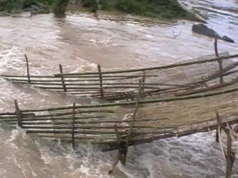 Wandering Gaia visits a bamboo fish trap 