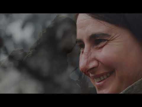 Bermal Cem Ez Delalim