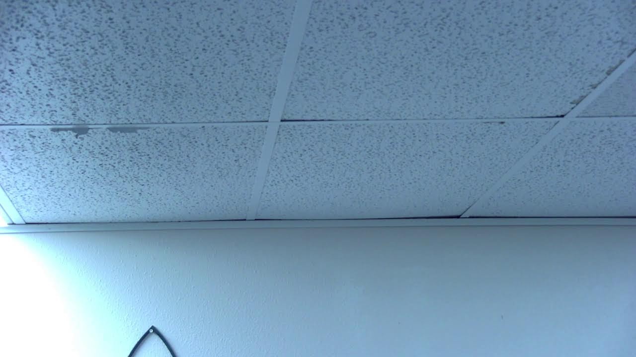 The Incarnation 121425