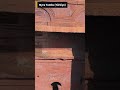 The New Jerusalem Astonishing Rock Churches Of Lalibela RockHewnChurches Lalibela Ethiopia 