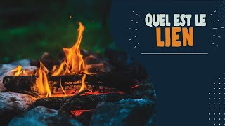 Le camping et l’importance de ne pas déplacer de bois de chauffage | Quel est le lien?