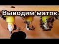 Выводим маток. Прием личинок через прививочный ящик.