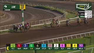 Vidéo de la course PMU PALO SANTO H.