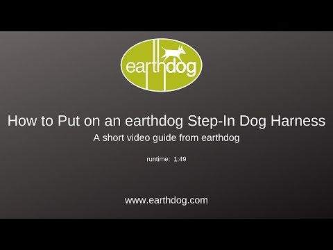 how-to-put-on-an-earthdog-step-in-dog-harness:-a-short-video-guide-from-earthdog