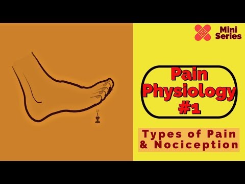 दर्द फिजियोलॉजी 1: दर्द और नोकिसेप्शन के प्रकार