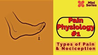 Pain Physiology 1: Types of Pain and Nociception