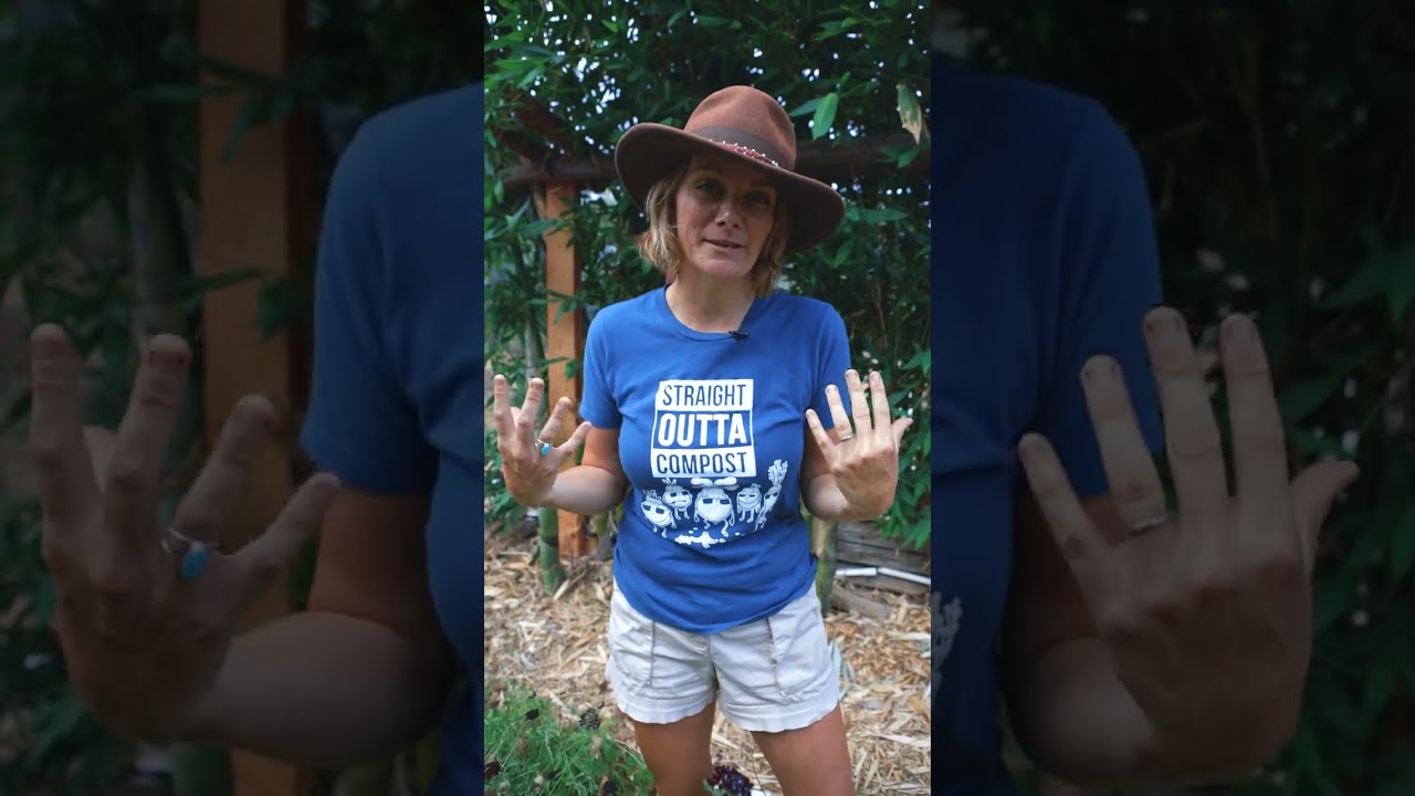 You can easily have these dark flowers bloom in your garden every season