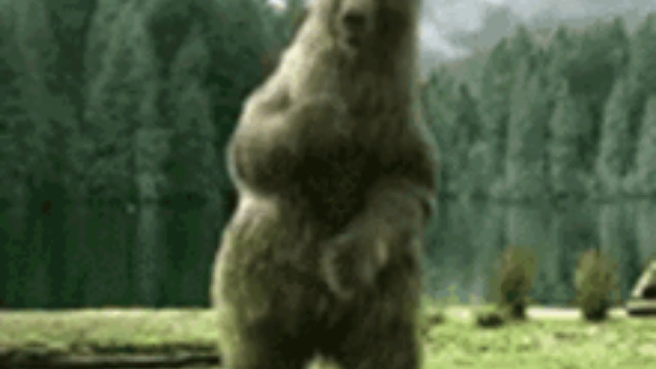 Dancing Bear Full Movie