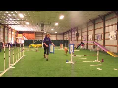 Jari - Agility 9-27-14