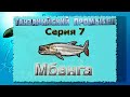 Русская Рыбалка 3.99 (Russian Fishing) Танзанийский промысел 7 - Мбенга