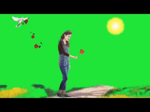 Bewafa green screen video effects - background- HD video Green screen ...