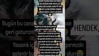 Yüzünü Di̇ri̇ Dri̇ Kurtlar Yi̇yn Canimiz Fi̇p Çikti Nolurrr Paylaşim Yapi̇nnnnn Destk Olun 😭😭😭