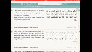 Muwatta Malik (arabic, english) - part 1/61 screenshot 5